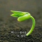 [EXO] 12기나 빨리 스밍<b>돌리</b>3