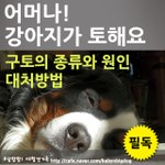[대형견가족] 어머나! 강아지가 토해요.(반려견 구토)