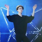 [뉴트] 왕온니 결혼 <b>반주</b>는 제가 연주하겠음