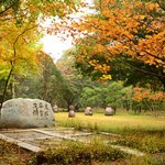 [남이섬] 남이섬 한번도 안가봤는데~가보고 싶음~