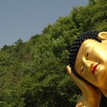 [팬픽] [해탈] 또 분위기 왜이래