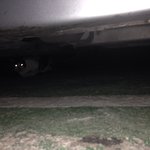 [꽃보다<b>쿤</b>이]  꽃미냥 <b>쿤</b>이 이야기-13화