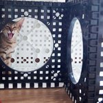 [쪼기네] [쪼기네]  넌 나에게 <b>굴욕감</b>을 줬어  편