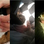 [<b>보들</b>밍마루] [<b>보들</b>밍크 이야기] 2. 좋았던 시절은 끝났다!