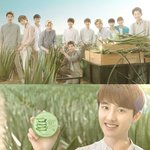 [exo] 한<b>컷</b>을 위해 캘리포니아까지 간 엑소ㅋㅋ