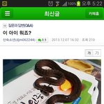 [콜로라도] 중고나라는 언제나 평화롭다.jpg