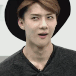 [EXO] 세훈이 웃는거 겁나 귀여워