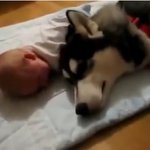 [강추] 유튜브 꿀잼 영상