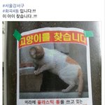 [도와주세요] tv <b>동물</b>농장 제작팀이 2주째 찾고있는 아이