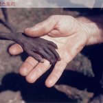 [널스토리] 사진속 이야기들