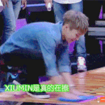 [EXO] 솔직히 난 완전체위주<b>vs</b>최애위주