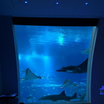 싱가<b>폴</b>의 <b>한</b> 언더워터호텔내부