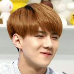 [EXO] 와후 판존나열심히했네