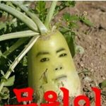 [인피니트] 나얘네<b>엽사</b>가너무좋앜ㅋㅋㅋ