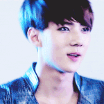 [EXO] 고양이와 새