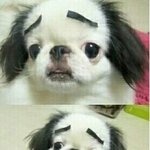 [EXO] 야시발이영상아는사람ㅜㅜㅜㅜㅜ?