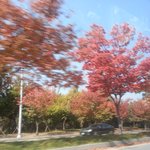 [EXO] 오늘차타고가면서찍은 <b>단풍</b>사진