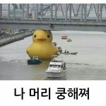 [EXO] <b>러버</b>덕 낮져밤이