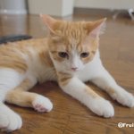 [유봉이네] 건망증 공감