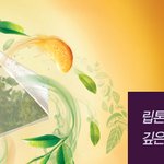 립톤 <b>피라미드</b> 티