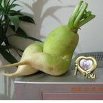 요새 하고있는건데 너무 귀여운듯 ㅎㅎ