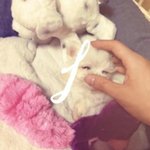 [EXO] 몽구<b>애비</b>에이어...