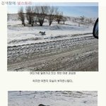 [널스토리] <b>한파</b>의 무서움