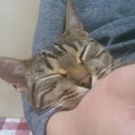 [뱅갈] 뱅갈이 <b>아귀</b>가 와쩌요