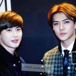 [exo] 강아지 네마리 꼭 끌어안고 다녔던 세훈이~ <b>귀욥</b>따 ㅋㅋㅋ