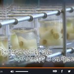 앞으로 주목해야 할 고부가가치 <b>산업</b>