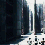 [뉴트] 뛰는고 커<b>여움</b>