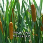 [EXO] [<b>필독</b>] 엑소톡 공지입니다