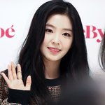 [뉴트] 왕온니