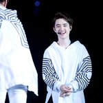 [EXO] 갈치년은신기한게