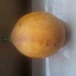 [<b>라틴</b>박우물] 올챙이알같은 남미 과일 granadia