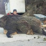 2014년 최고의 인터넷 대란