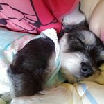 [예쁜<b>내아</b>가] 입양하길 잘했어요.