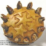 맛없기로 <b>유명</b>한 영국 음식들