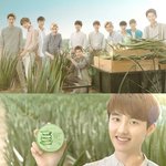 [exo] 엑소 수딩젤 사러 이마트갔는데 ...