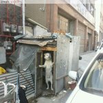 [널스토리] 아저씨 여기 <b>주차</b>하시면 안돼요