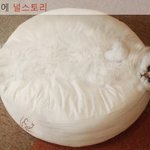 [널스토리] <b>착시</b>.jpg