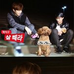 [EXO] @@@11시30분총공임 <b>정신</b>차려@@@