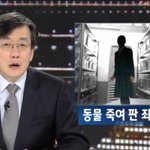[추억파리여] 동물 죽여 판 죄책감에 자살한 여고생