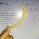 [EXO] 새우깡 <b>기형</b>잇어 zzzzzzz