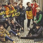 [EXO] 우리 투표 존나 열심히 <b>하자</b>