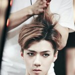 [EXO] <b>엠넷</b>  샹것들이  투표에 손을대?