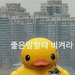 [EXO] 사고로 장난치지<b>마라</b>