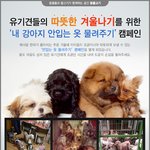 유기<b>견들</b>의 따뜻한 겨울나기 캠페인