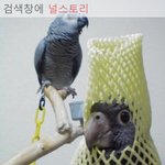 [널스토리] <b>여왕</b>폐하, 인간측 사신이 도착했습니다.