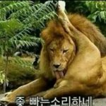 [EXO] <b>연합</b>얘기꺼내지마